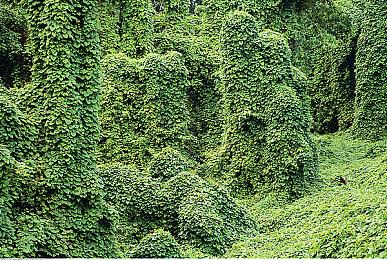 《黑帝斯》Netflix合作iOS版 将于3月20日正式上线